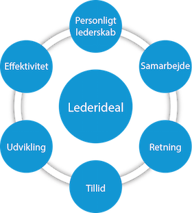 lederideal