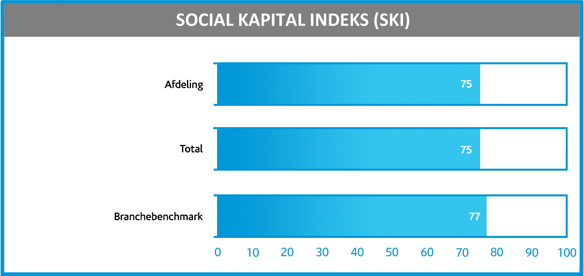 social Kapital